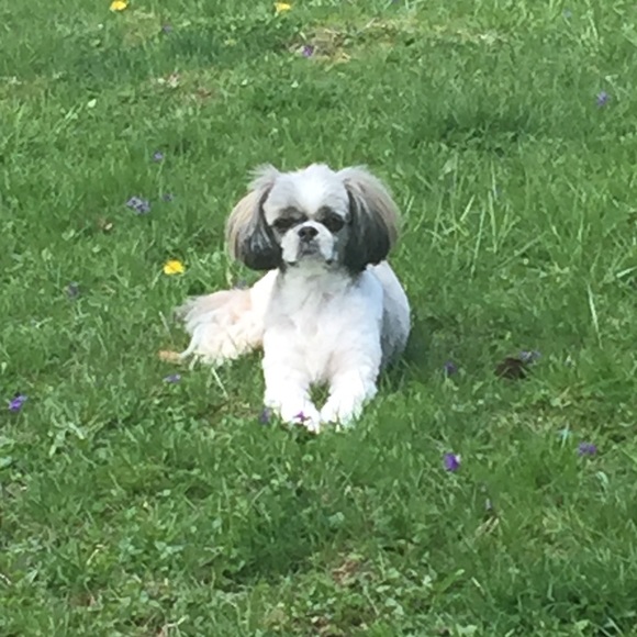 Meet your Posher, Kelly - Picture 2 of 3